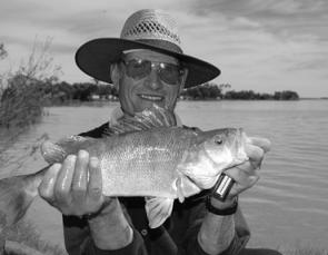Lake Charm and Lake Boga are producing quality redfin for anglers using bait. Early starts have been best.